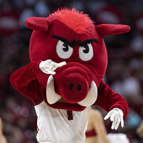 The 2022 March Madness bracket, decided by how delicious the mascots are - oggsync.com