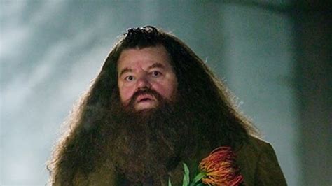 9 Reasons Hagrid Is The Best Harry Potter Character