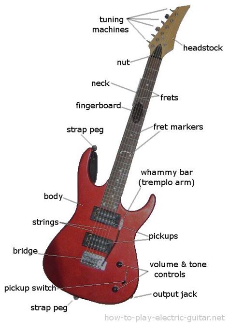 parts of an electric guitar | Electric guitar parts, Guitar parts ...