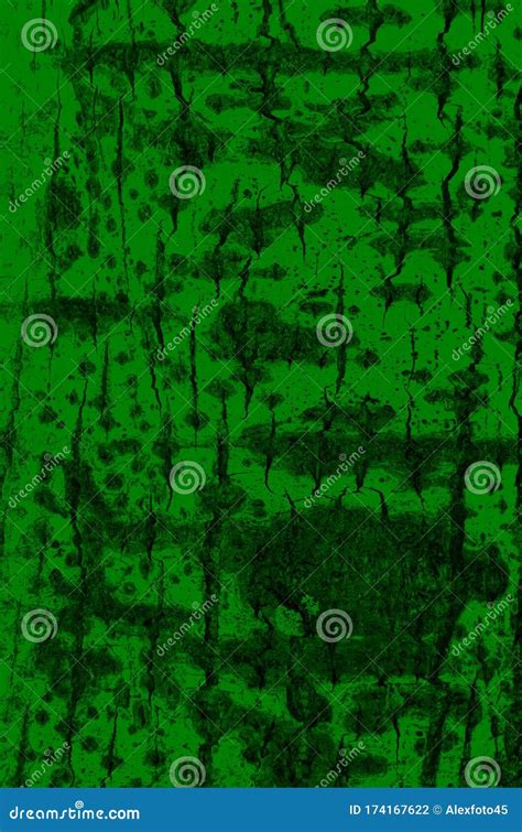 Aspen Tree Bark Green Texture Stock Photo - Image of brown, green ...