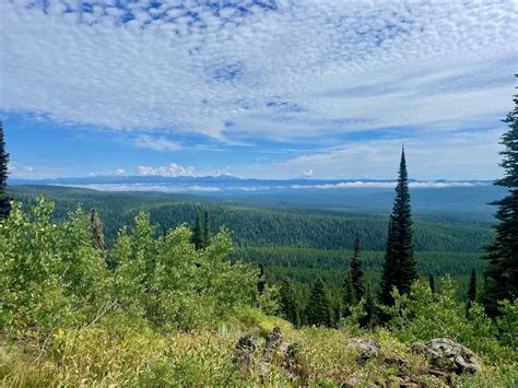 Continental Divide Trail: Montana-Idaho Section 1 | Outdoor Project