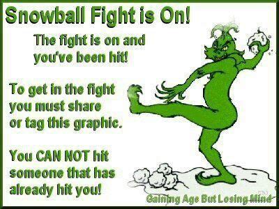 Snowball Fight Is On | Snowball fight, Snowball, You funny