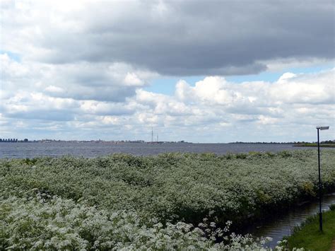 Marken (4) | Netherlands (3) | Pictures | Netherlands in Global-Geography