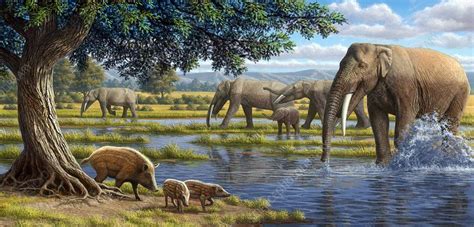 Mammals of the Miocene era, artwork. The Miocene era is the period from around 23 to 5 million ...