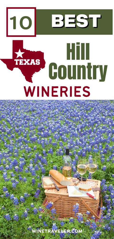 the texas hill country wineries logo with bluebons in the background ...