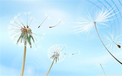 Blowing dandelion art wallpaper | 1920x1200 | #10022