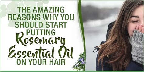 The Amazing Reasons Why You Should Start Putting Rosemary Essential Oil ...