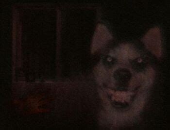 Smile Dog | Villains Wiki | Fandom