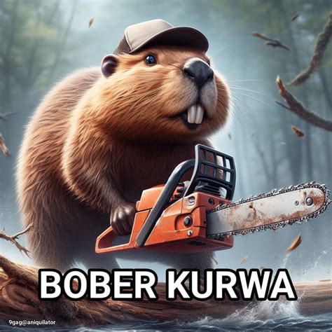 The lumberjack Bober kurwa - 9GAG