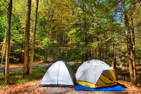 Camping Tent in Woods stock photo. Image of recreation - 3326170