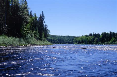 Allagash Wilderness Waterway A Natural History Guide