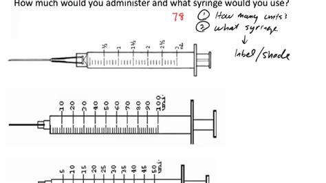 Insulin Unit Conversion Table | Elcho Table