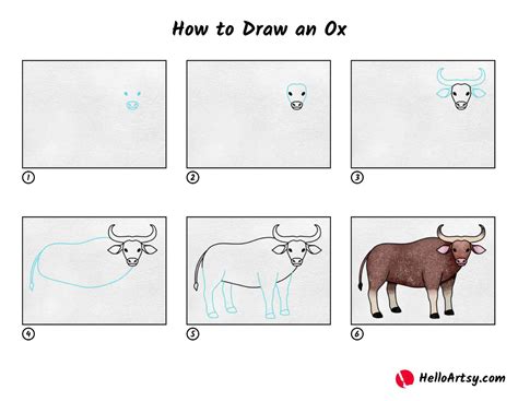 How to Draw an Ox - HelloArtsy