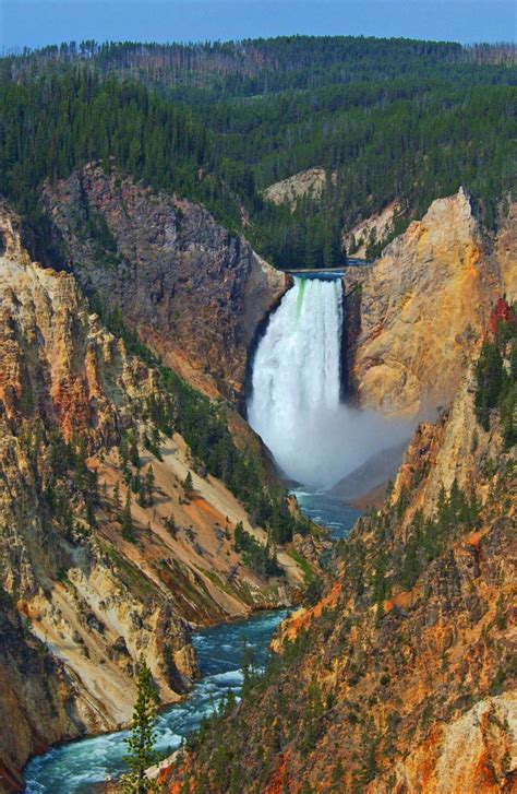 Lower Falls at yellowstone Yellowstone National Park Tours, Us National Parks, Tour Guide ...