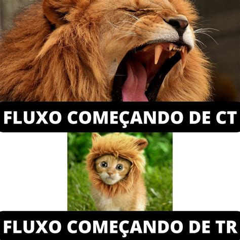 Gaules on Twitter: "F fluxo :( que locura..." / Twitter