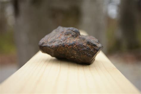 Extremely rare meteorite discovered in Romania, on display at Dino Parc | Romania Insider