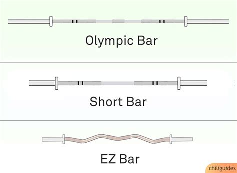 Barbell Buying Guide: Tips With Illustrations - chiliguides: