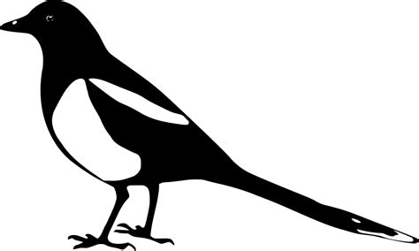 SVG > animal bird wild stencil - Free SVG Image & Icon. | SVG Silh