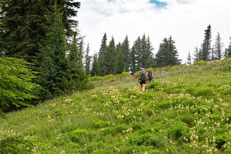 New Trails at Mt. Hood Meadows Have Officially Opened | Portland Monthly