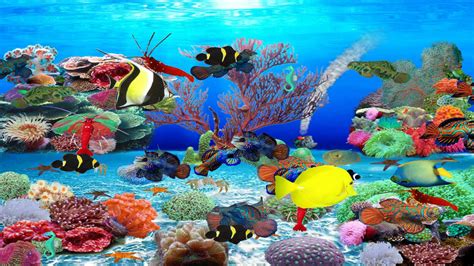 Aquarium Screen Saver Windows 11 at Pamela McDonald blog