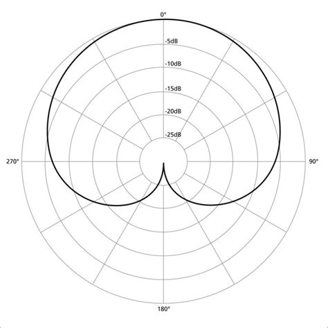 Cardioid vs Supercardioid Mic: The Key Differences Explained