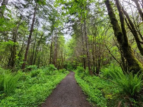 10 Best Trails and Hikes in Olympia | AllTrails