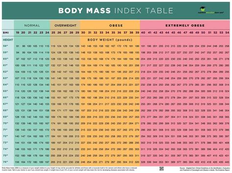 Buy tion Education Store BMI - BMI CHART - BODY MASS INDEX - 18" X 24 ...