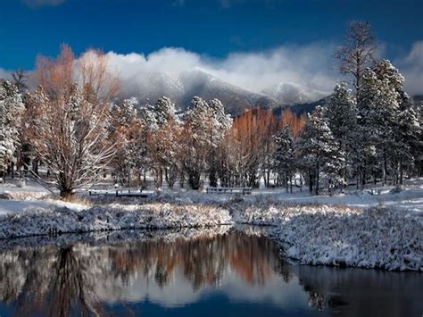 Arizona Winter at 7000': Photo by Photographer Shane McDermott ...