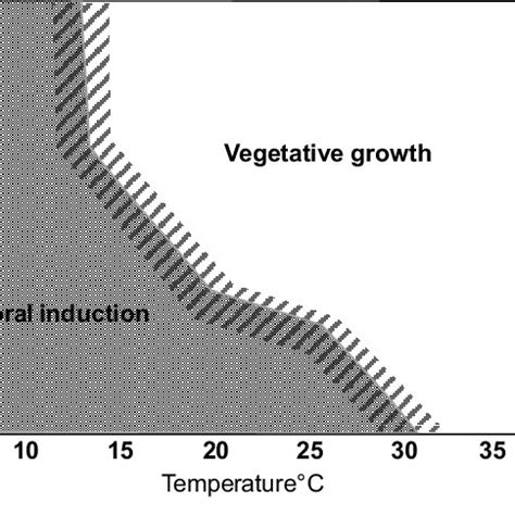 Relation between photoperiod and temperature to induce reproductive ...