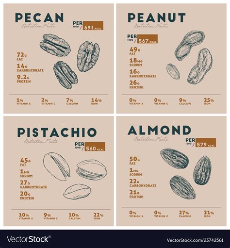 Nutrition facts of nut pecan peanut pistachio Vector Image