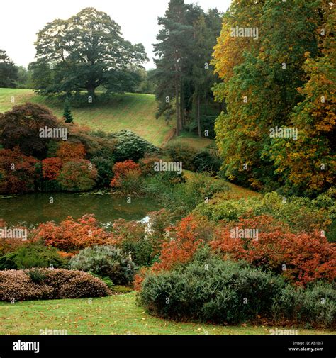 Cheshire gardens Ashton Hayes House garden in autumn Stock Photo - Alamy