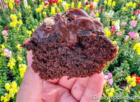 REVIEW: We Tried the New TWIX Cake in Magic Kingdom! | the disney food blog