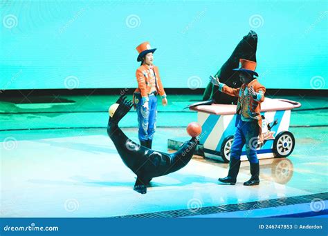 A Sea Lion Show in Shanghai Haichang Ocean Park Editorial Stock Photo - Image of japan, lion ...