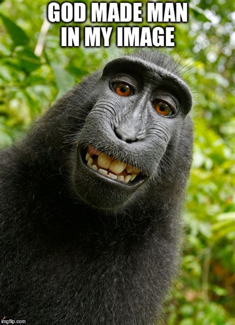 Funny Monkey Work Memes