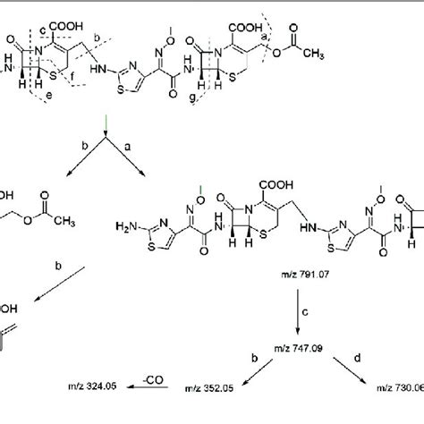 | Chemical structures of cefotaxime, cefotaxime dimer and trimer. | Download Scientific Diagram