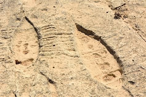 Explore Qatar's eerie Al Jassasiya rock carvings – Lonely Planet ...