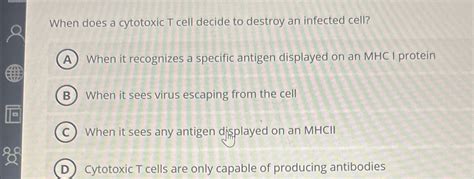 Solved When does a cytotoxic T cell decide to destroy an | Chegg.com