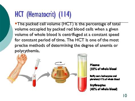 Hematology Studies and Lab Reports Normal Blood