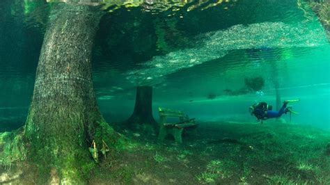 Austria’s unlikely dive spot | Underwater park, Underwater world, Places around the world