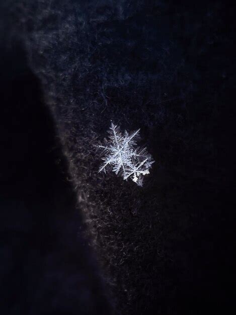 Premium Photo | Snowflakes close-up.