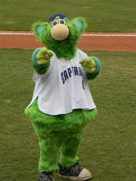 Lake County Captains Mascot Skipper | Mascot, Lake county, Dinosaur stuffed animal