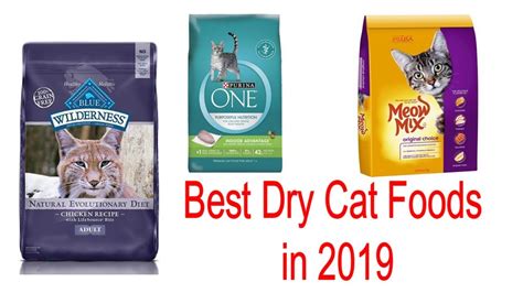 Best Dry Cat Food 2019