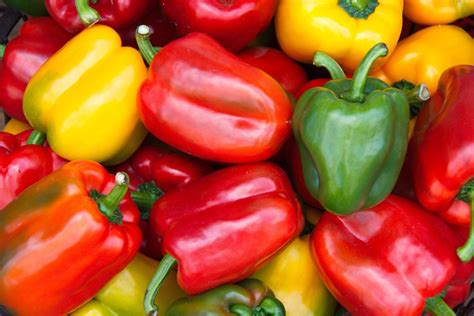 Bell Peppers: Do the Different Colors Taste Any Different? - Delishably