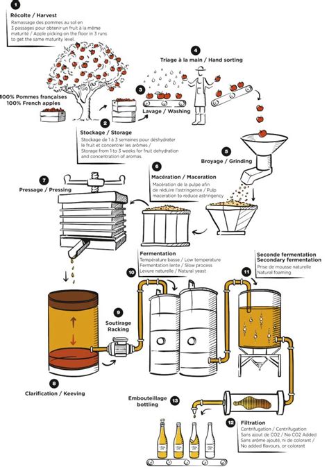 NOTRE SAVOIR-FAIRE – Cidre Le Brun