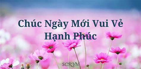 Chúc Ngày Mới Vui Vẻ Hạnh Phúc [152+ Câu Chúc Buổi Sáng Vui Vẻ]