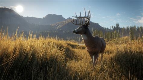 The Hunter: Call of the Wild Review - Gamereactor - theHunter: Call of ...