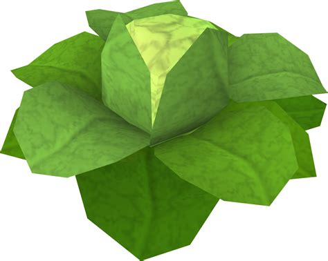 Cabbage - The RuneScape Wiki