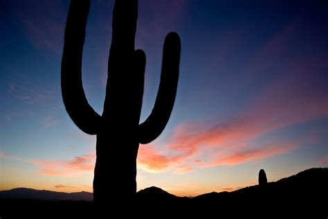 Arizona Sunrise Free Stock Photo - Public Domain Pictures