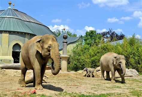 Tierpark Hellabrunn Zoo in Munich, Germany - Encircle Photos