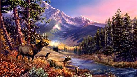 3840x2160px, 4K Free download | Elk Nature, Rocky Mountain Elk HD ...